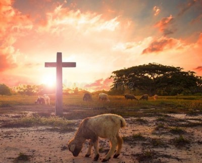 Bible Truth blog image - The Sacrifice of Christ