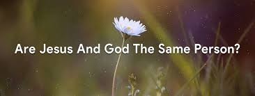 Bible Truth blog image - How can Jesus and God be the same?