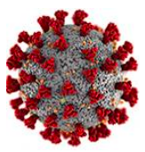 Virus molecule