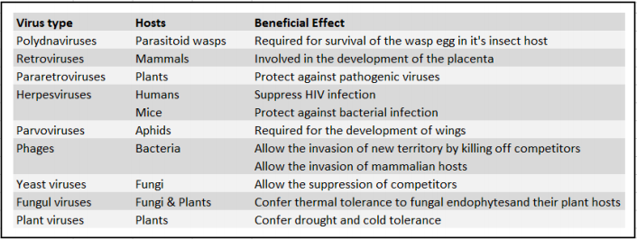 Examples of good viruses