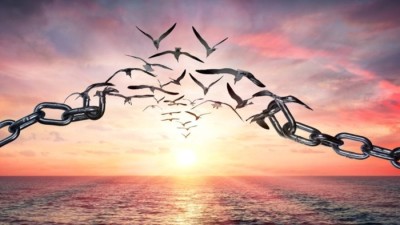 Bible Truth blog image - The Bible Teaching about Forgiveness