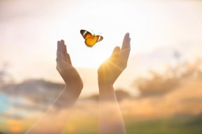 Bible Truth blog image - Morality and Meaning