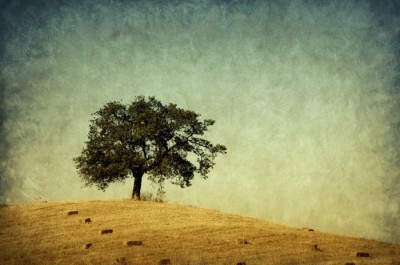 Bible Truth blog image - The Letter of Jude