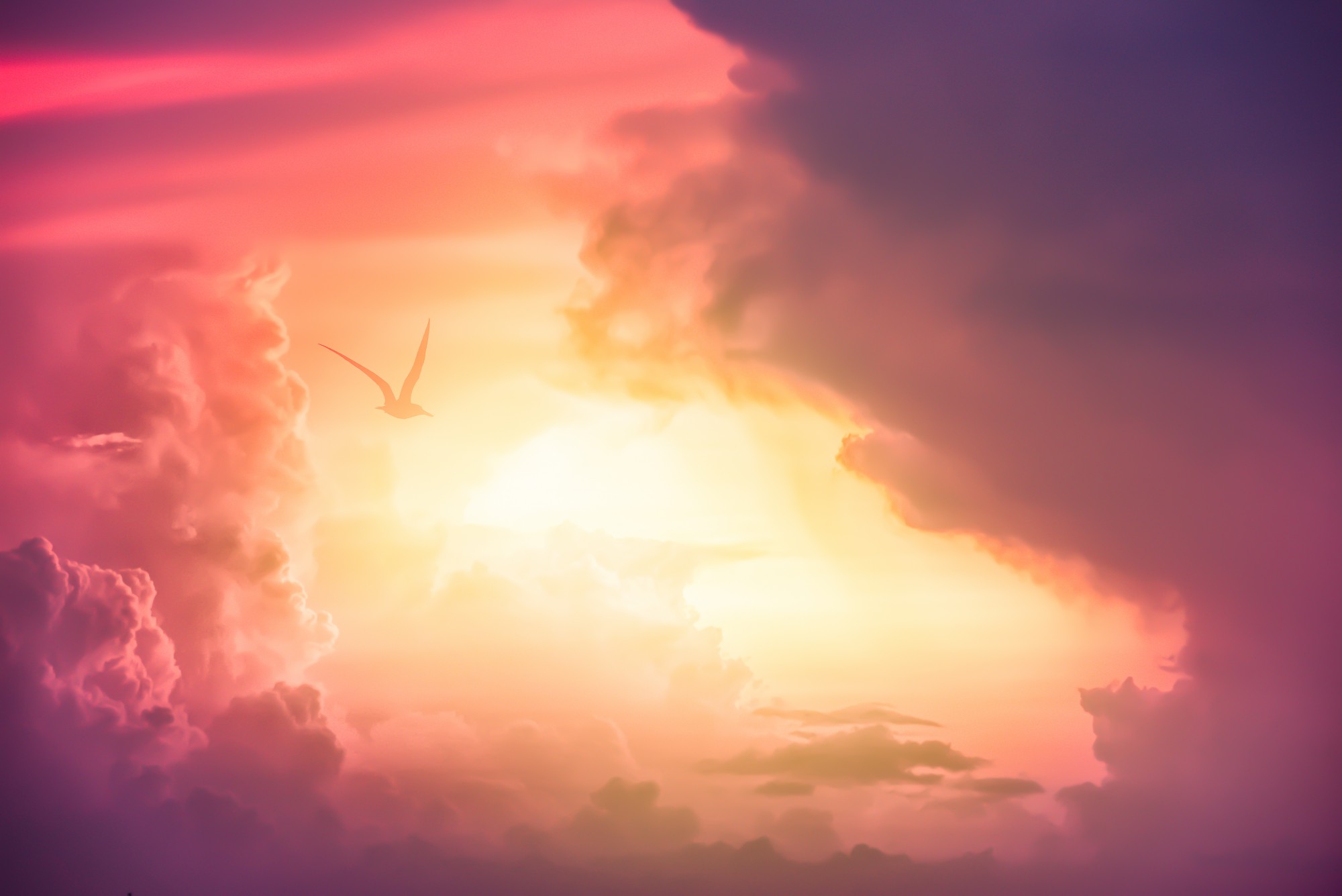 Header banner image
