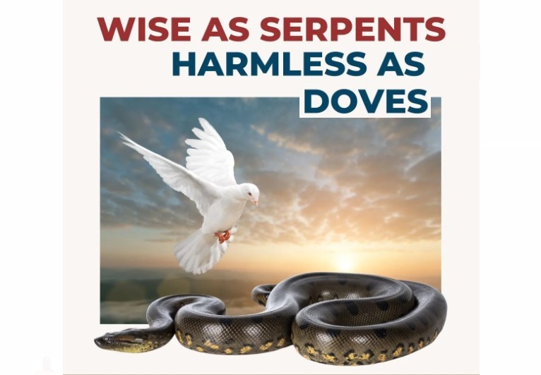 Bible Truth blog image - Wise as serpents harmless as doves
